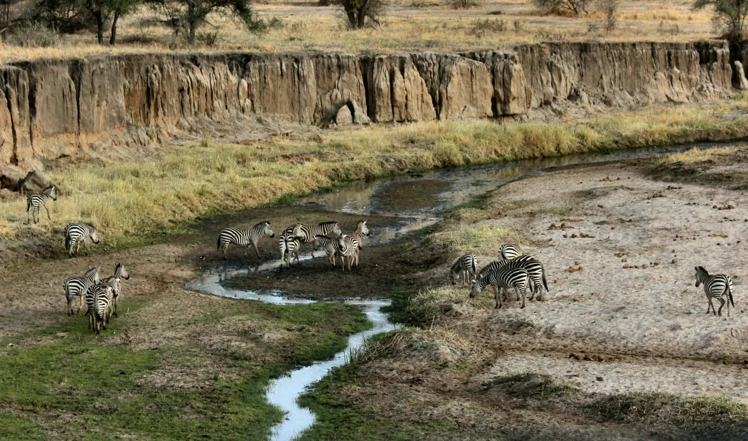 Tanzania